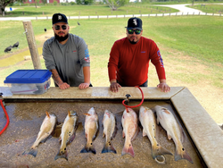 Redfish fishing in TX