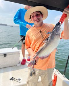 Lone angler fishing in TX