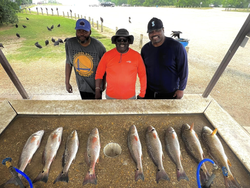 9 redfish caught at Elmendorf