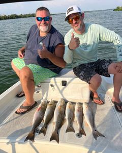 Redfish catch in TX