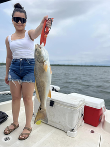 Redfish caught in Elmendorf, fishing