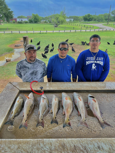 Six redfish caught in Elmendorf