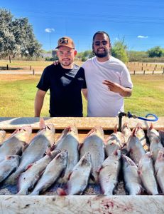 Three Great Barracuda and White Catfish fishing in TX