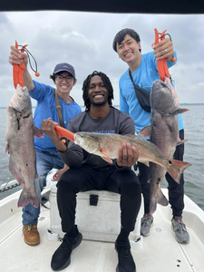 Three blue catfish and redfish caught in TX