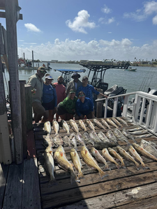 4 redfish caught while fishing in Port Mansfield