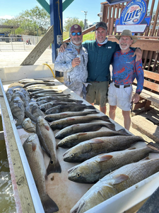 3 redfish caught by 3 anglers in Port Mansfield