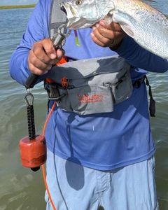 1 person fishing in Rockport