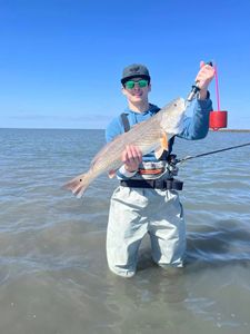 A lone redfish caught in Rockport