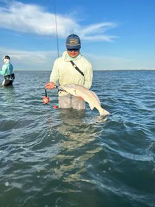 Redfish caught fishing in TX
