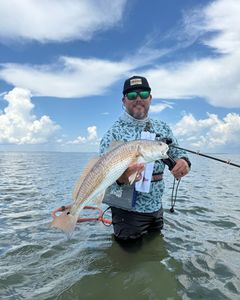 Angler catches a redfish in TX