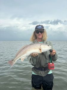 Redfish caught in Rockport