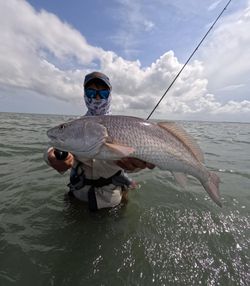 Redfish caught by angler in Rockport