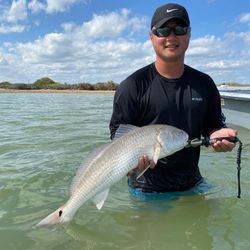 Redfish caught in TX