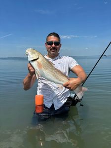 Redfish caught in TX