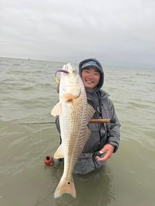 Redfish caught while fishing in Rockport
