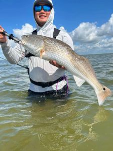 Redfish caught in Rockport