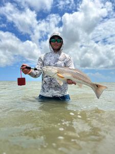 A redfish caught fishing in TX