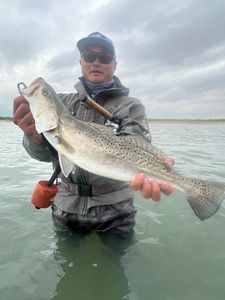 Angler fishing in Rockport