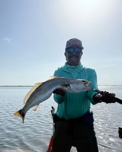 Angler fishing in Rockport