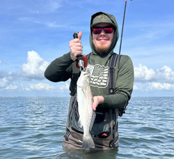 Photo of a spotted weakfish caught fishing in TX