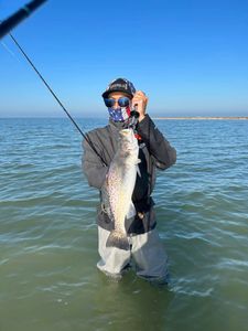 A single spotted weakfish, 22 inches long, caught while fishing in Rockport