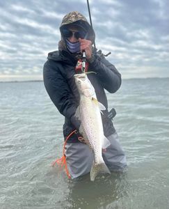 Spotted Weakfish caught during fishing trip in TX