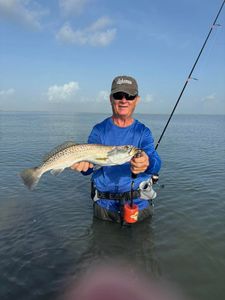 Spotted weakfish, 22 inches, caught while fishing in TX