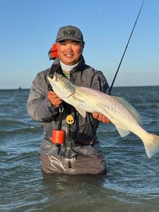 Squeteague fish caught in Rockport