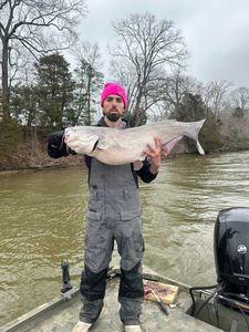 Blue catfish caught fishing in VA