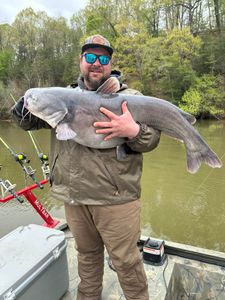 A blue catfish caught at Rappahannock Academy