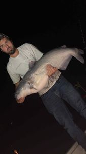Blue catfish caught at Rappahannock Academy