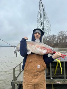 A person fishing in VA