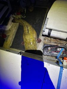 A scenic view of Rappahannock Academy