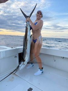 Atlantic sailfish caught while fishing in Riviera Beach FL