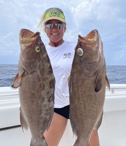 Gag Grouper fishing in FL