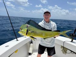 Mahi mahi catch on fishing boat in Riviera Beach Florida waters
