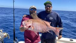 Mutton Snapper, a 29-inch fish, caught while fishing in FL