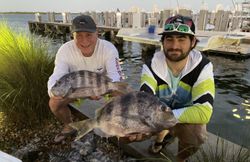 Two sheepshead fish caught while fishing in Florida