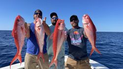 Four big fish caught during a fishing trip in Riviera Beach