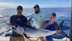 A swordfish caught while fishing in FL