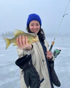 Angler fishing in NY