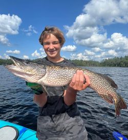 Northern Pike caught while fishing in NY
