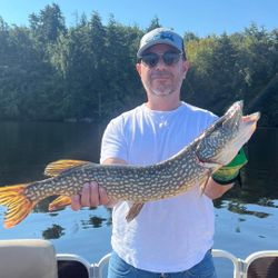 A northern pike fish caught while fishing in Paul Smiths