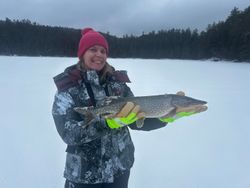 Northern pike caught ice fishing on frozen lake in Paul Smiths NY