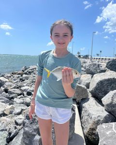 Small fish caught while fishing on rocky shoreline in Paul Smiths NY