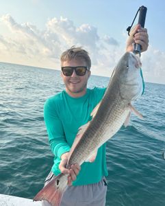 Saltwater Fishing Delights in Wilmington