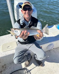 Wilmington's Premier Fishing Excursions, Weak Fish