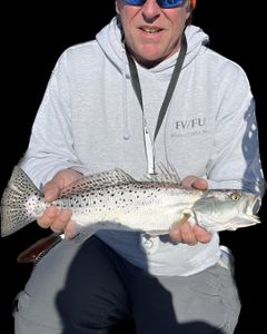 Explore Inshore Beauty in Wilmington, Sea Trout