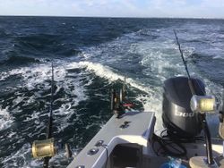 Saltwater Thrills in Wilmington NC