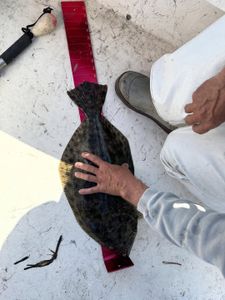 A fishing scene in NC